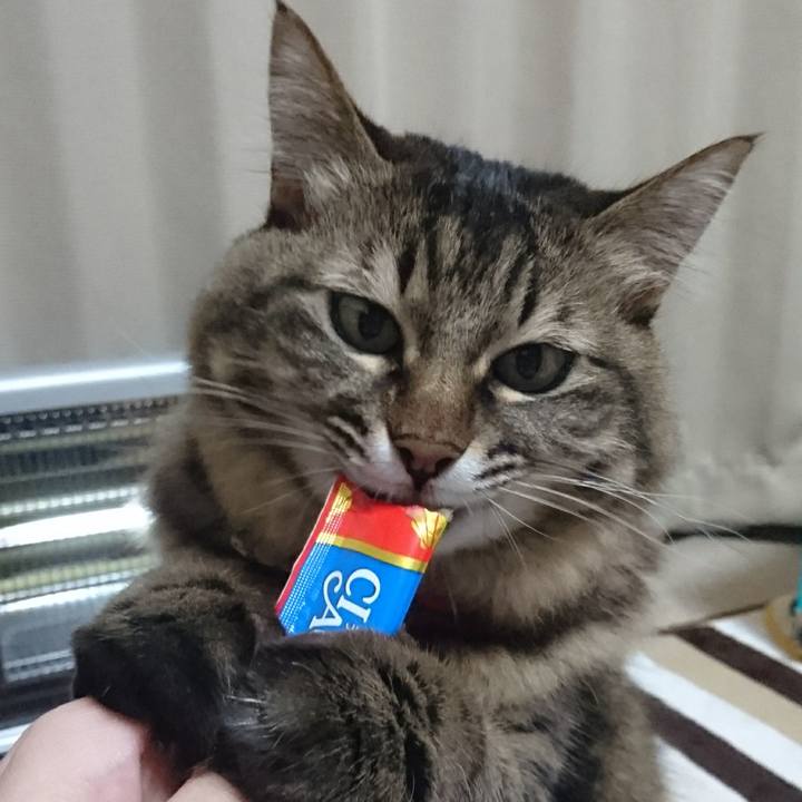 Af277ff4 0da8 4ffe bb2a 7761a005c54f 1514129507253