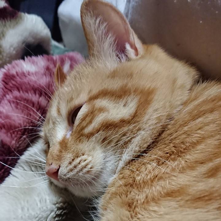 Af27b190 80b7 4f9d bc03 bc5ef10b82e1 1643118406999