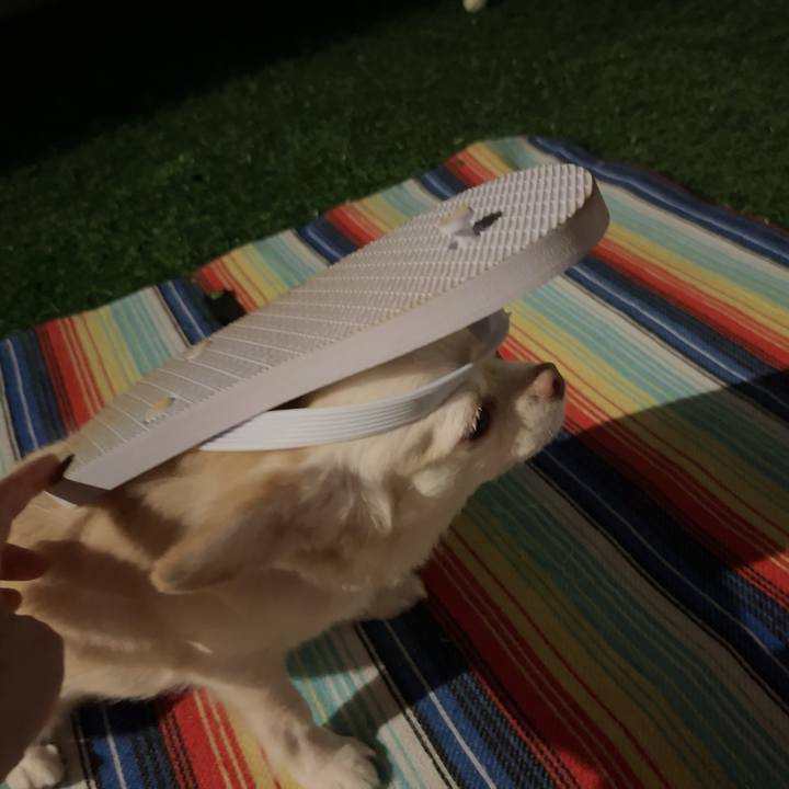 Af27dd85 74cb 45d2 854b c36e3a6519e0 1725630542177