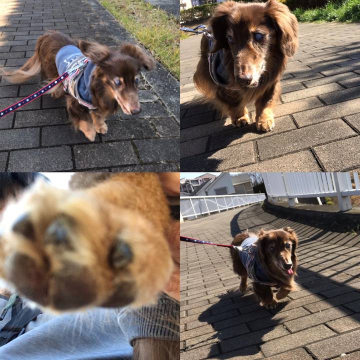 Af281f04 3b78 4794 8a76 7fbbeda082a1 1550905454697