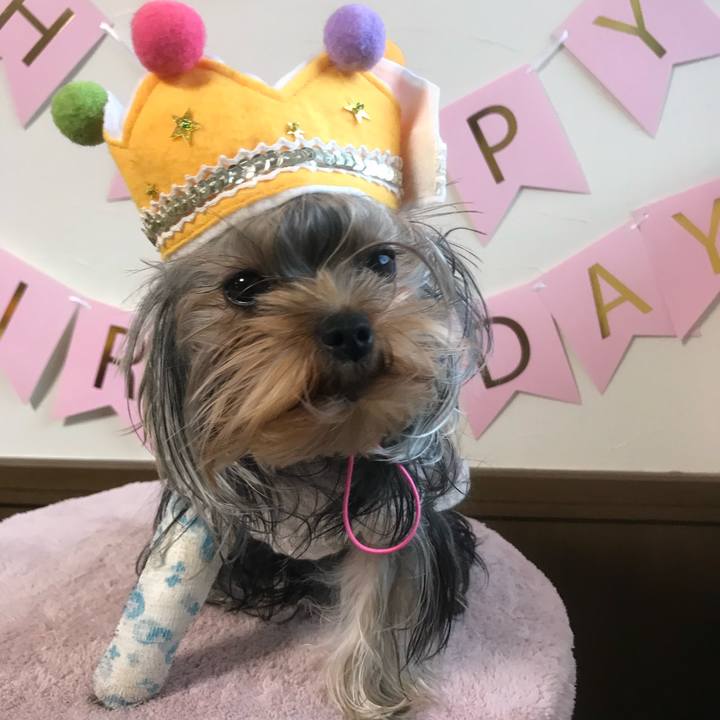 Af2845a4 9d4f 4a73 bfcd 6ae690523b55 1669116355132