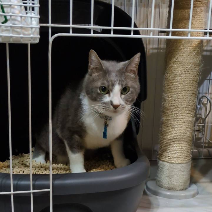 Af28b463 9581 4450 8258 eee7ab370f6a 1756209215887