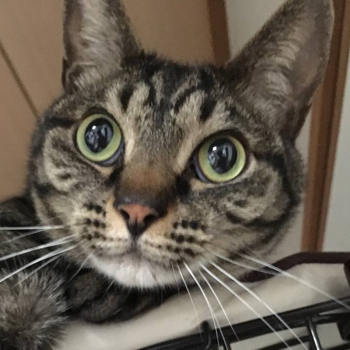 Af28b727 0be9 4701 8bcf 00fbd1bac939 1525862981129