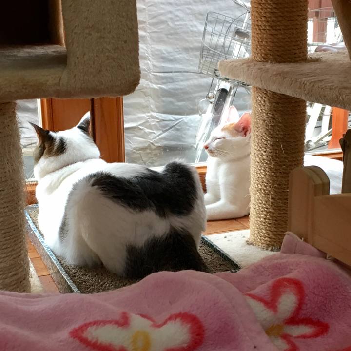 Af28bd2d 70dd 41dd 8703 fa9c50862f2d 1508027918509