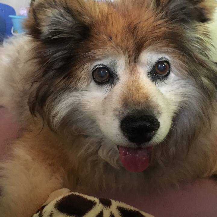 Af28d572 bd0b 4438 a089 688e9462e6b7 1558317401300