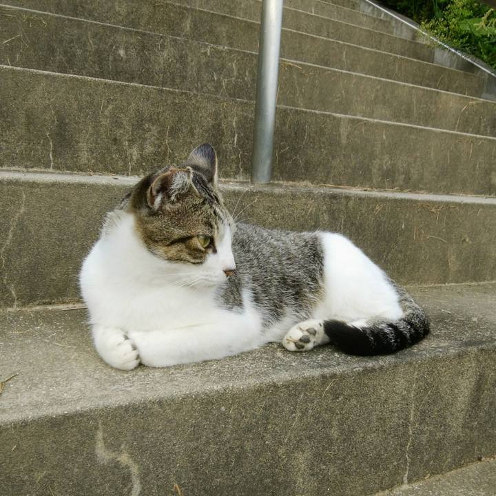 Af2950a1 7f5d 4712 8ea1 f60902f898a3 1537920419762