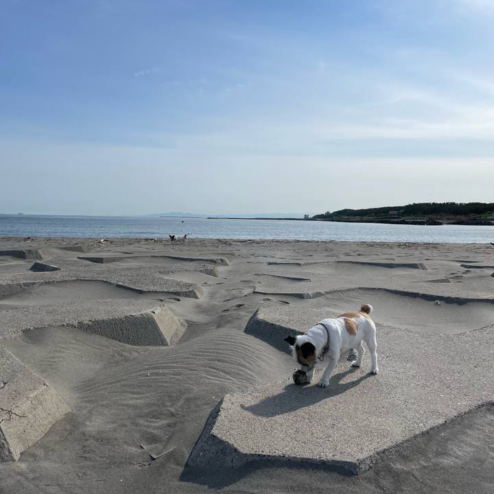 Af299bc6 eee9 4649 b14a 11981fc01c5b 1685575317787