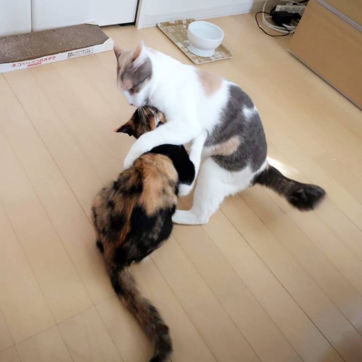 Af29c529 fb76 4733 b5a4 bf436a54d5ba 1602664013860