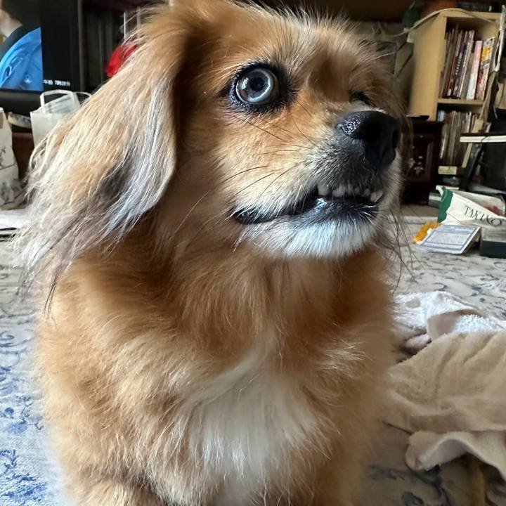 Af29cac4 ee20 4a8f 9a63 96b8a1b3f241 1691620684342