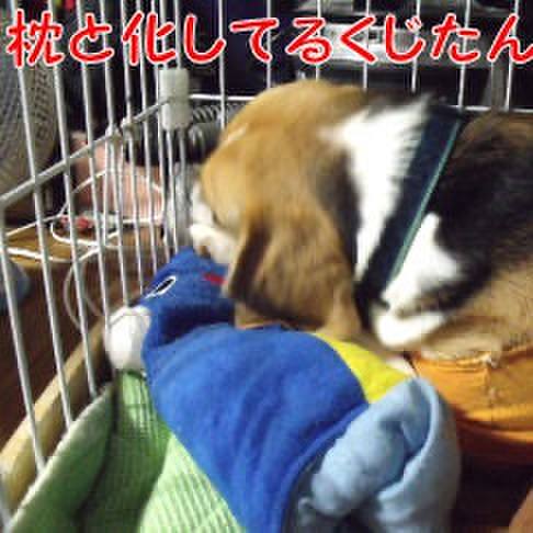 Af29d847 8c05 437f 93a7 97d3e438f65f 1725063710776