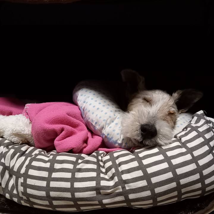 Af29fcda cdb1 4af8 931c 7dda5f700e06 1645142074363