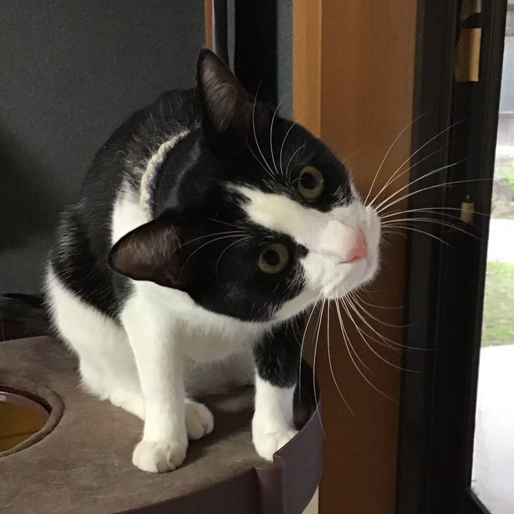 Af2a03fc c72b 4f7d 9575 57156a73589b 1655112139952