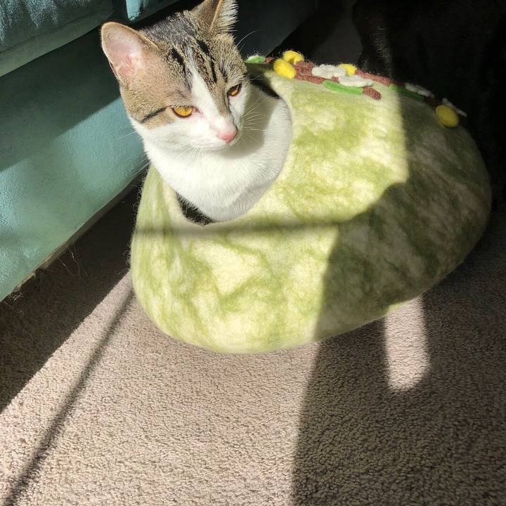 Af2a0eba 8ab9 4d48 b763 5ab2ae190d25 1513957348982