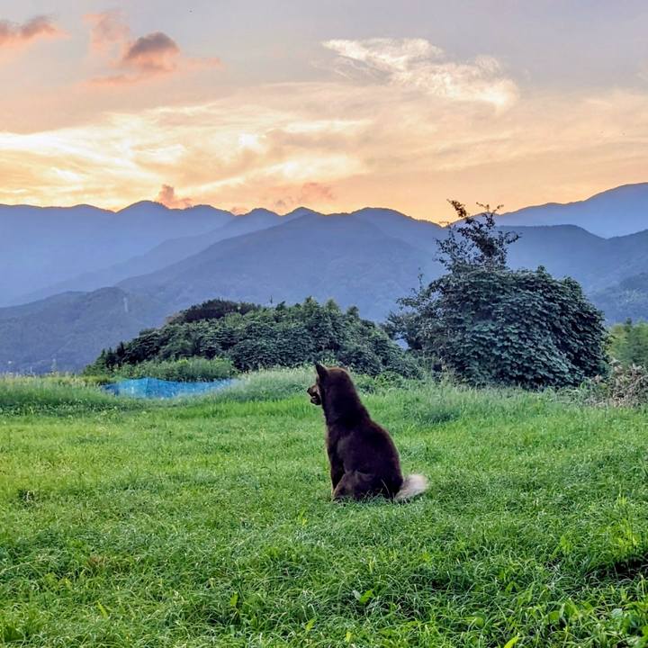 Af2a1c25 c2e2 42db a6da 201c20d16854 1758013948398