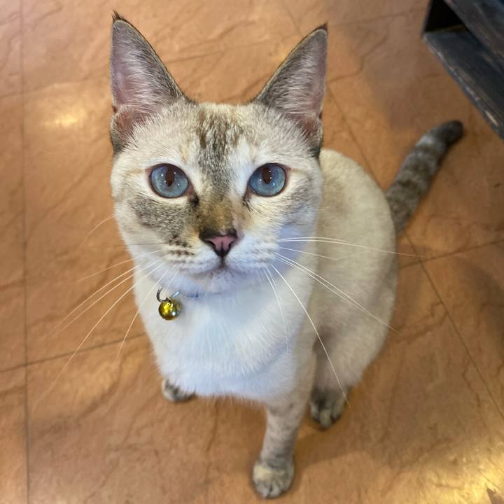 Af2a33f2 7225 4b4c 90dc 4881d807ac13 1660296415466