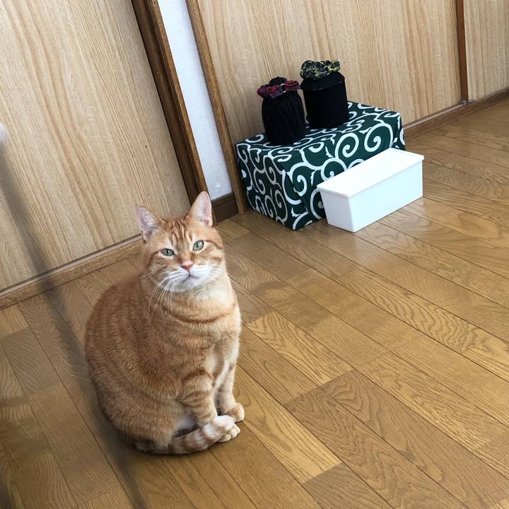 Af2a6a3c d3fa 4355 9a9d ffb298056789 1647834712250