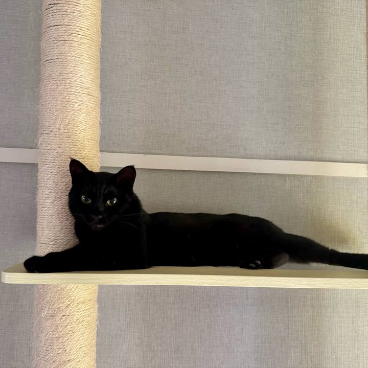 Af2a81eb 56b3 488f 9ae9 fcda47719741 1750327763861