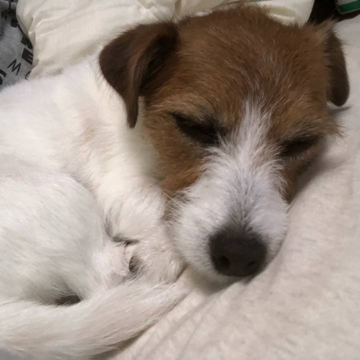 Af2a944e 2550 4afa 8cdd 3f0edf7021f4 1563078281199