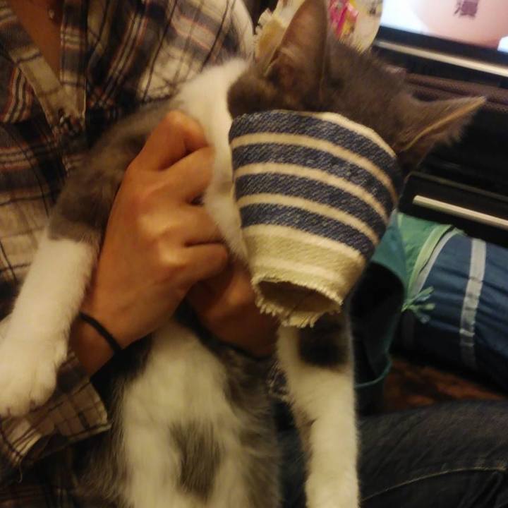 Af2a9dd4 1cf9 4734 986d e9d055597510 1575974937004