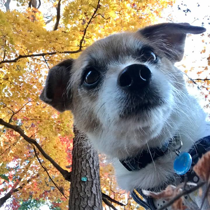 Af2b12df ab3a 4064 a8ce 1fbeb5936ac7 1607240406168