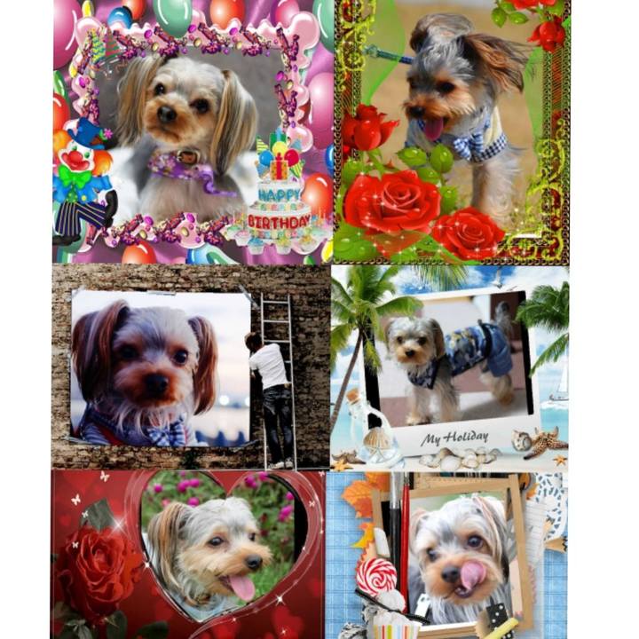 Af2b3159 6907 4abe 8cda 91c7671cffc9 1560465397141