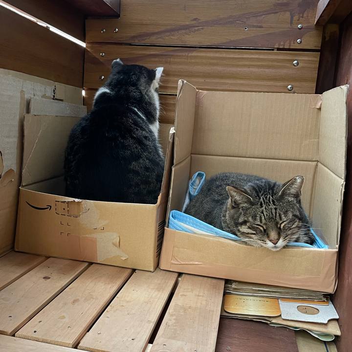 Af2b41cc 149d 4204 8c0d 3a5a624fd0a5 1630802202486