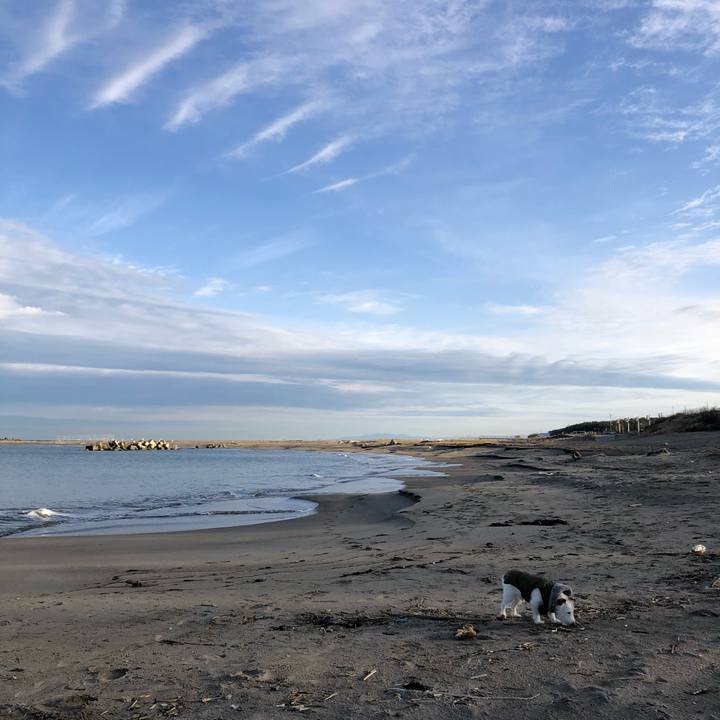 Af2b429c fac1 42d9 a5d9 dcf99ea2bb77 1607558588710