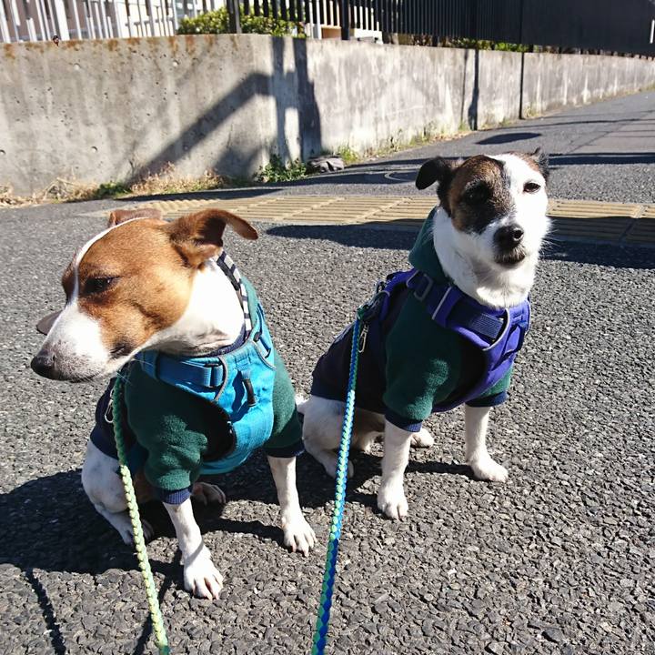 Af2b726a 7d7a 4b02 a4ca c47143c3cce2 1614131423713