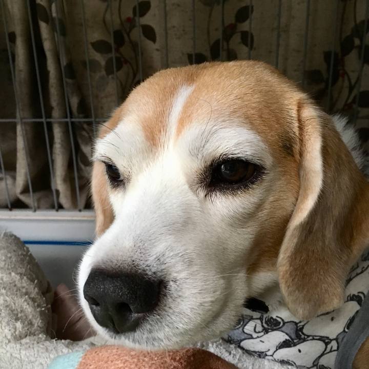 Af2b8d1d 3b05 4867 b338 e22cc8ef546f 1536935887763