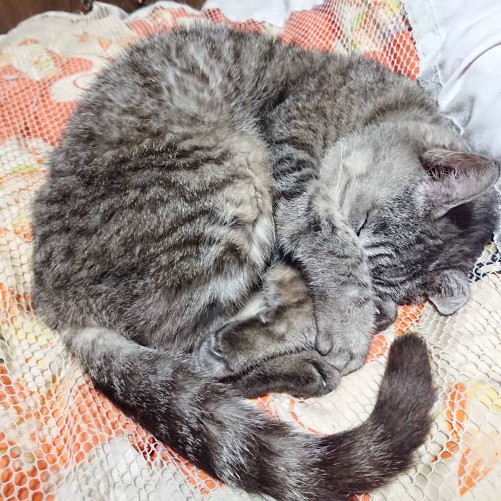 Af2bbdea e51a 4610 a678 95f486c90083 1570106083661