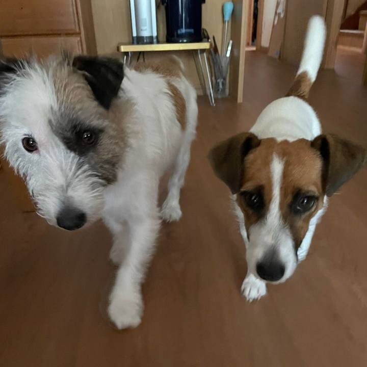 Af2bcbdf df29 4f12 8036 e79a34d3177b 1629696883436