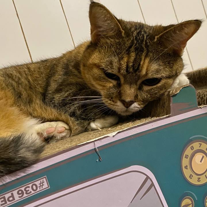 Af2bd905 dce3 4651 9dee aeeb44f45f8f 1664800614054