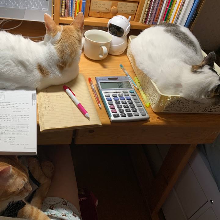 Af2bffc9 6e6c 4cc3 8c23 ec5d2a167d5c 1651873528136