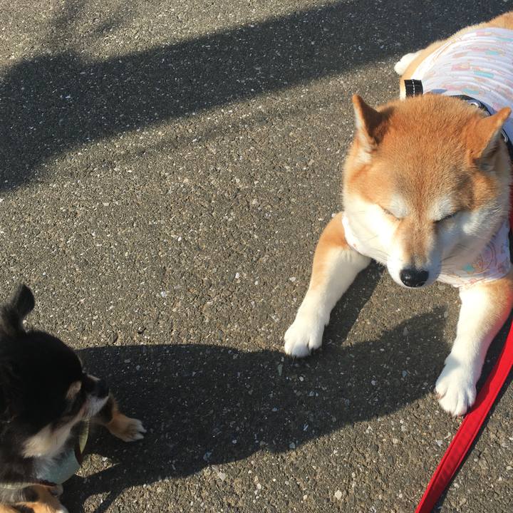 Af2c19fa 453e 4e41 a0a4 5c9bf2896e58 1574657810455