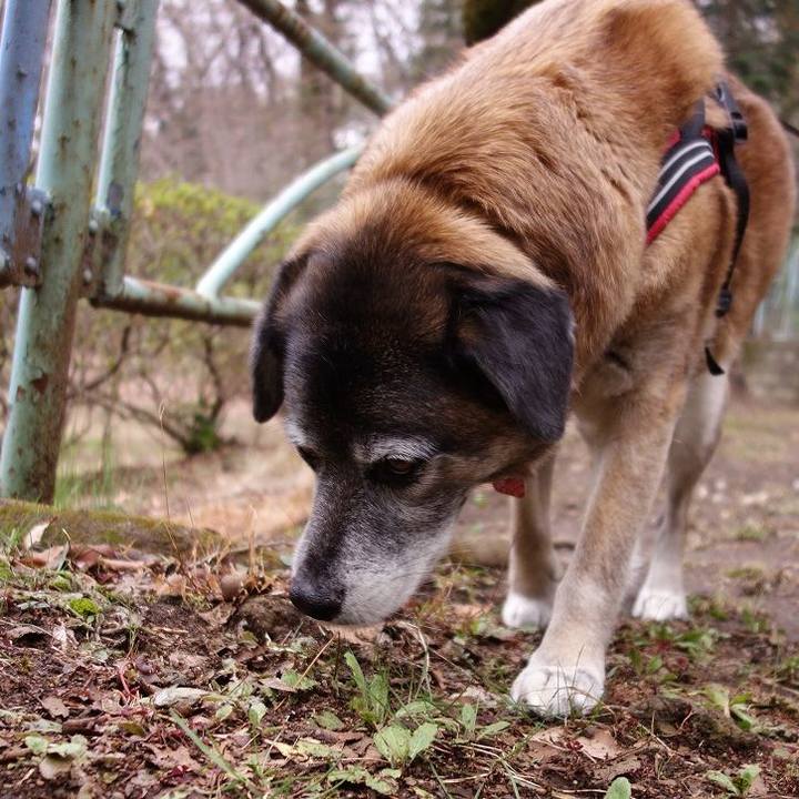 Af2c331a 79fa 4909 863c 9c3a0308efd6 1520731354676