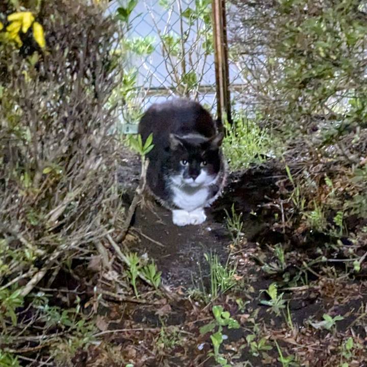 Af2c3395 52f1 449f a771 640ae55e0d57 1743599555926