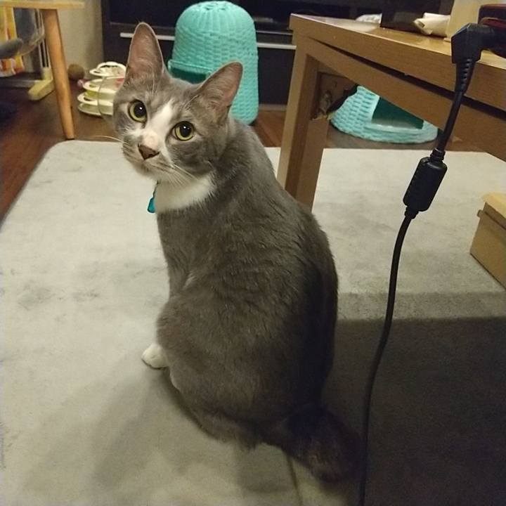 Af2c54b4 3f0b 458d 9485 4ed8b19f2855 1620645876919