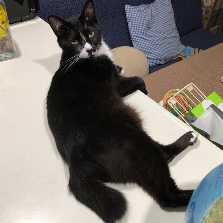 Af2c9f2f a4c4 4da2 b628 04e8e052ddc2 1629085694061