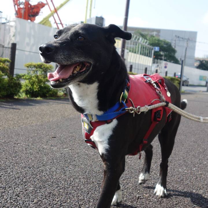 Af2cadec 8def 4cd2 bb55 b56c6c8c4ada 1686098870315