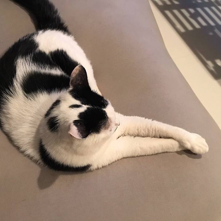 Af2d07a2 a3d6 4e67 87a4 ce18ea3e7aed 1533040540203