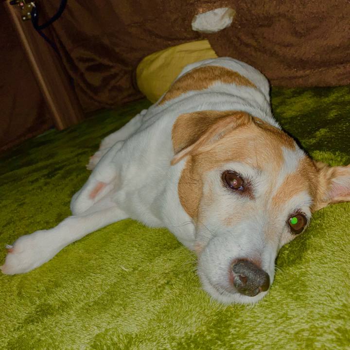 Af2d09c5 05f6 4cf7 9d04 0d3b113bb2b5 1699882216594