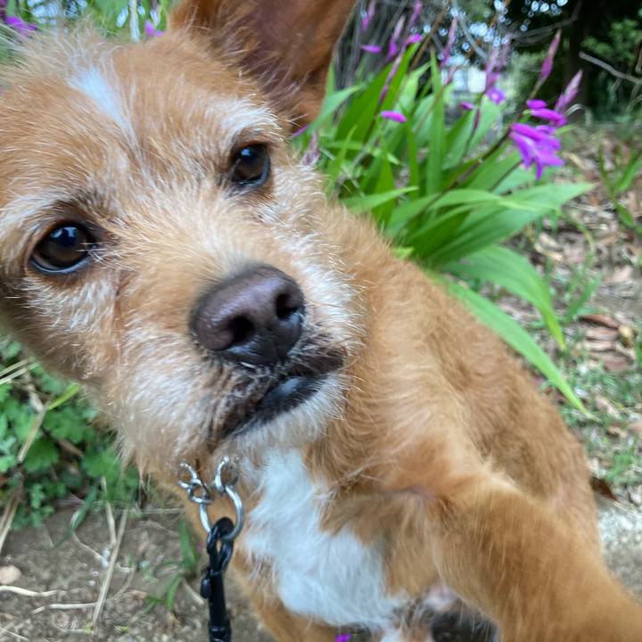 Af2d3d2f 01b2 475a 9fe5 320119e859a2 1617601861036