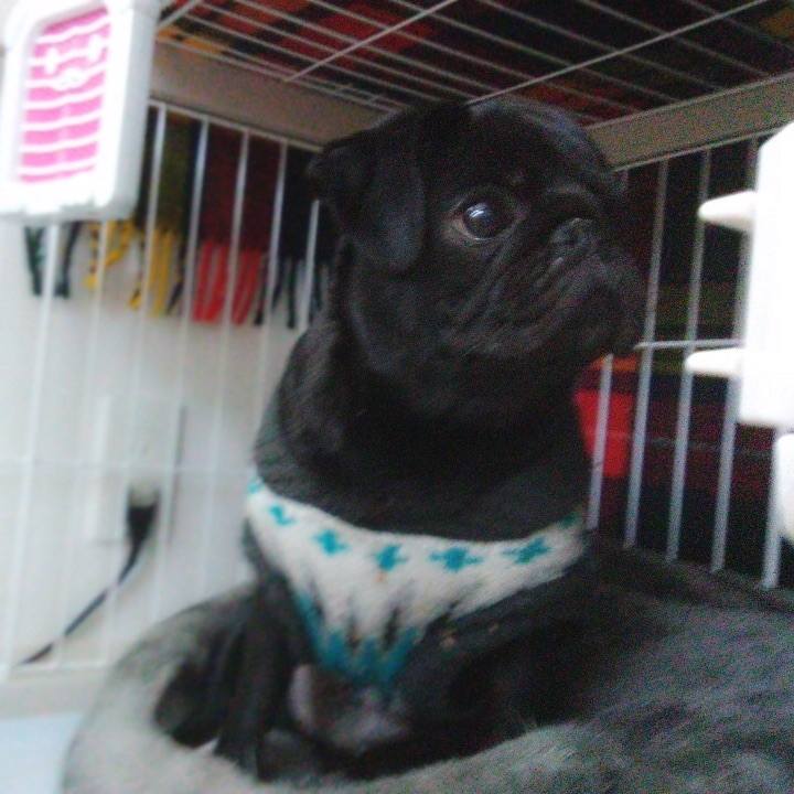 Af2d5170 afd0 4415 b0fe 6b39b52e15ac 1608682087543