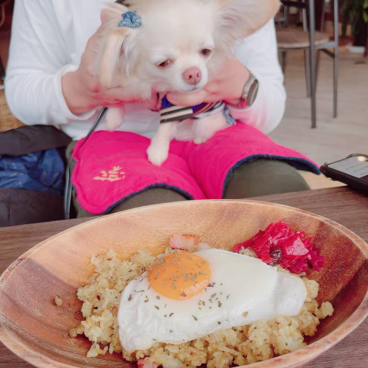 Af2d6ef9 20b7 4809 893e 4d78bf760fc3 1704188447546