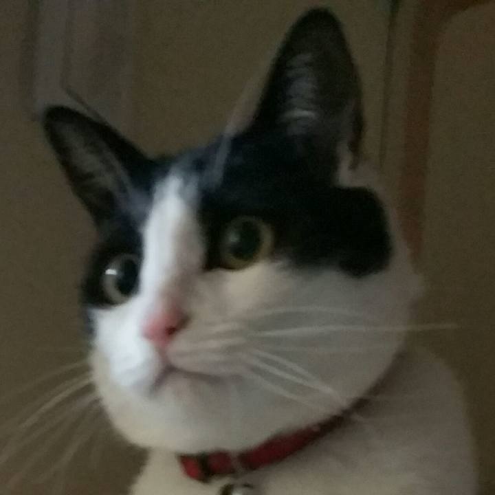 Af2d7bc5 f4d9 496d aa81 3f4072216e16 1518844553761