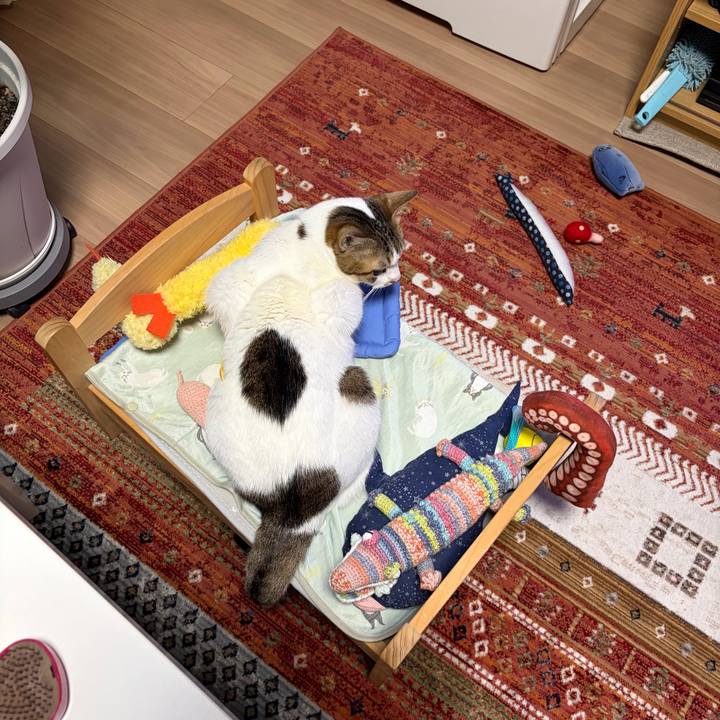 Af2d8494 9b62 4bf8 ac8b 5b587d2dab2b 1771799439638