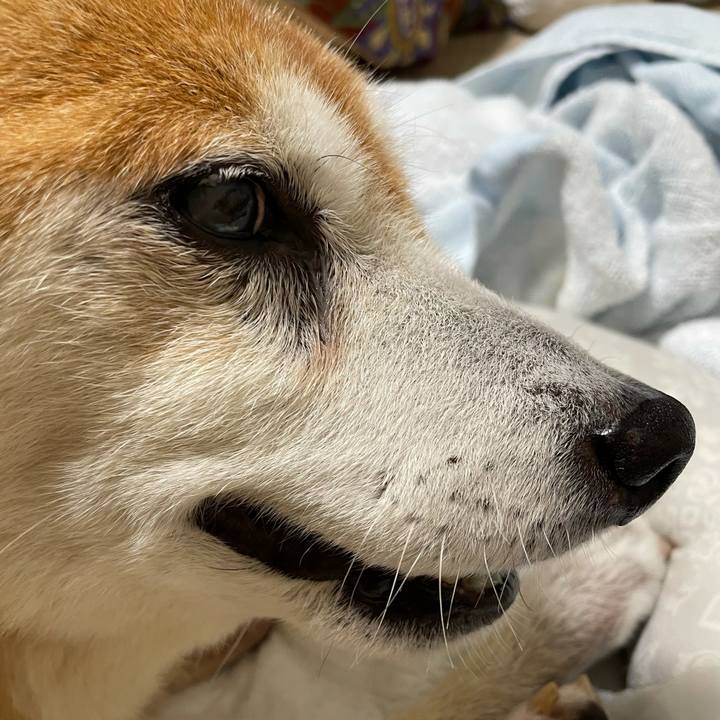 Af2d97da 7f9a 45ca 8f15 cdbb4d6f1dfb 1629579266865