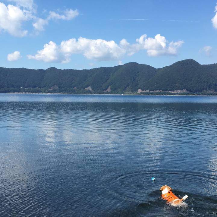 Af2d9803 bd66 4453 8384 112e5626d40e 1569643774704