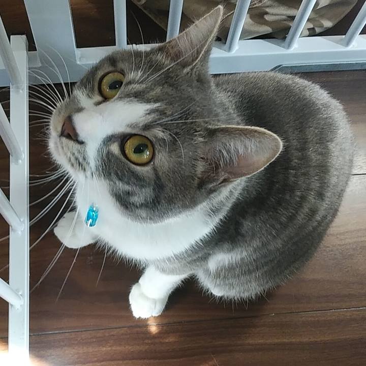 Af2dacde e2ec 4f1c a927 62bf83b724f3 1582070101156