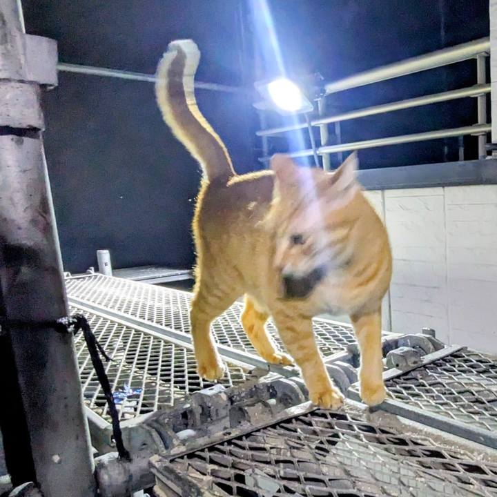 Af2db412 20af 48d8 8abd 3ba4177629f8 1772363222793